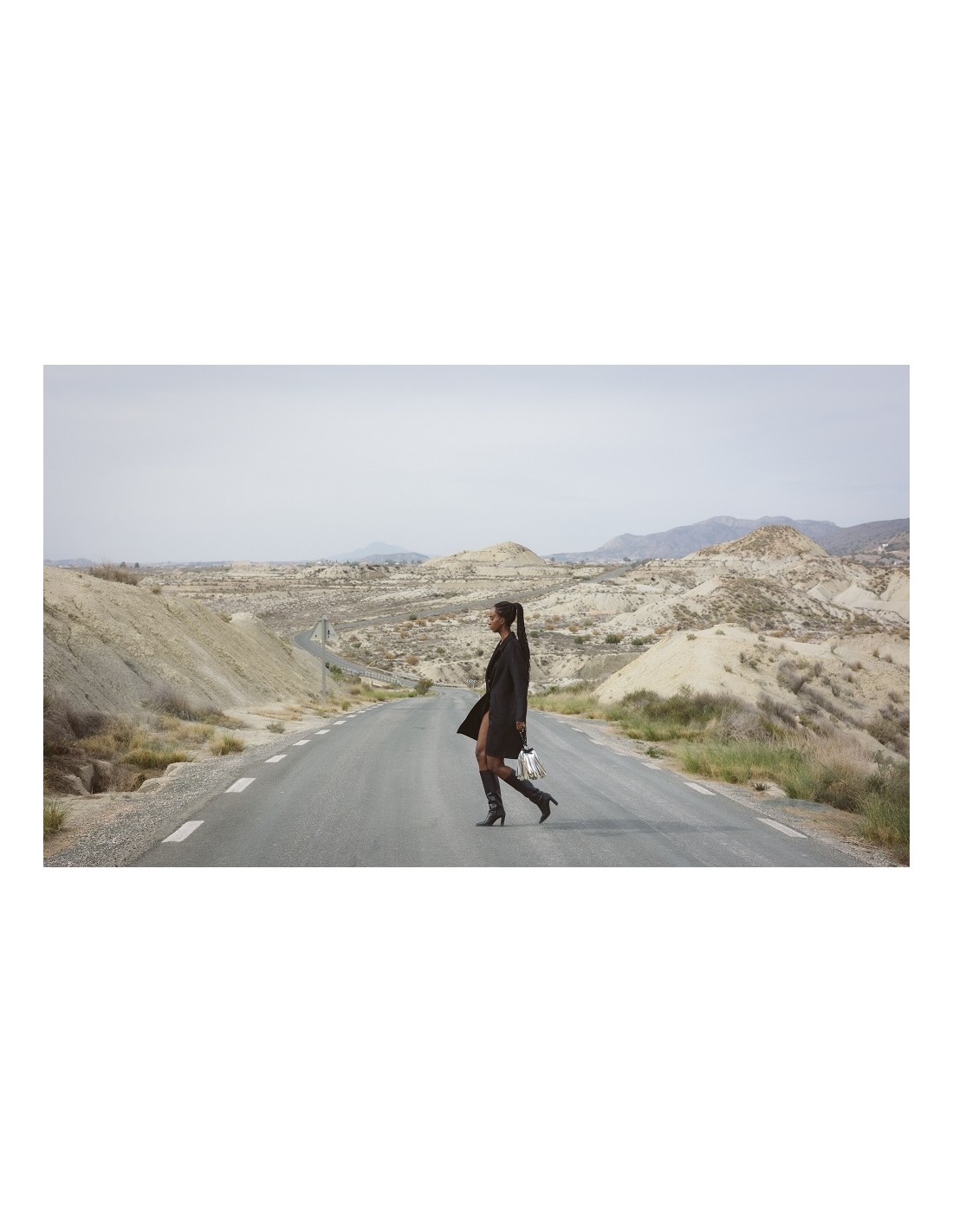 DESERT PALETTE (FL. LARGO)