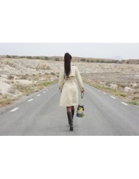 DUSK MIRAGE PALETTE (MAXI)